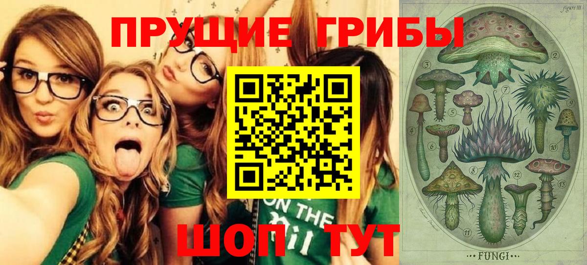 Галлюциногенные грибы Magic Shrooms Карачаевск